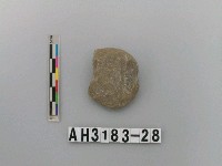 藏品(砝碼型石網墜)的圖片